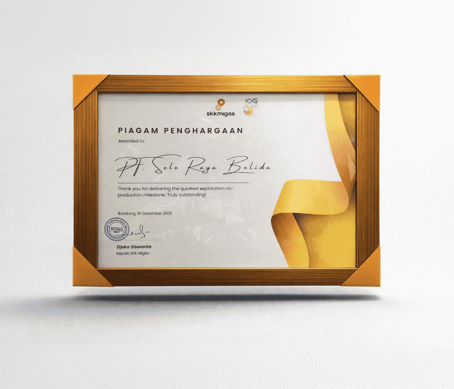 Recognized for Excellence