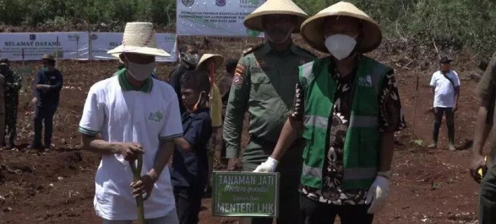 Sele Raya Agri Bangun Hutan Tanaman Industri Jati dan Agroforestry di Pulau Muna