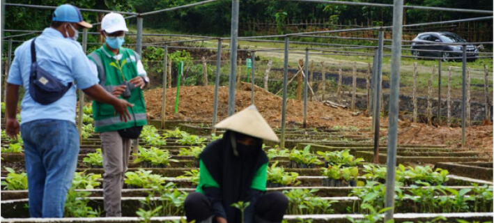 Bermanfaat dan Menguntungkan, Masyarakat Muna Bergabung dengan PT Seleraya Agri